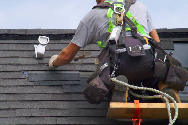Best Roof Repair Services  in Novi, MI