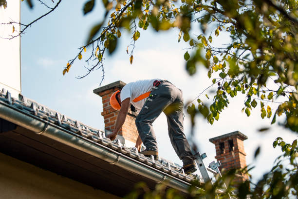 Best Tile Roofing Contractor  in Novi, MI