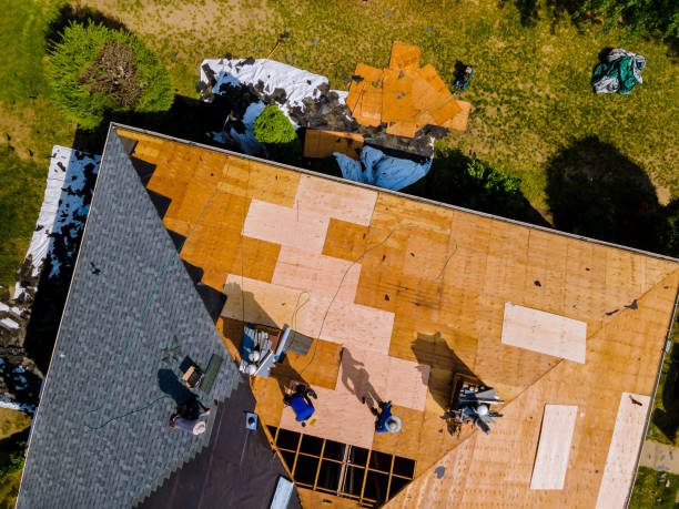 Best Shingle Roofing Installation  in Novi, MI