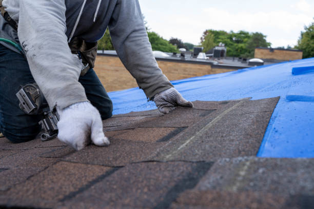 Best Storm Damage Roof Repair  in Novi, MI