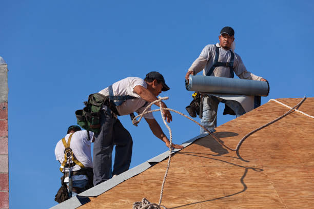 Best Roof Leak Repair  in Novi, MI