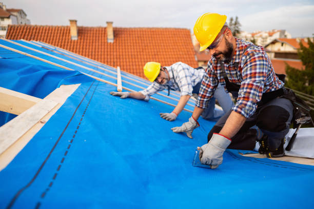 Best Best Roofing Contractors  in Novi, MI