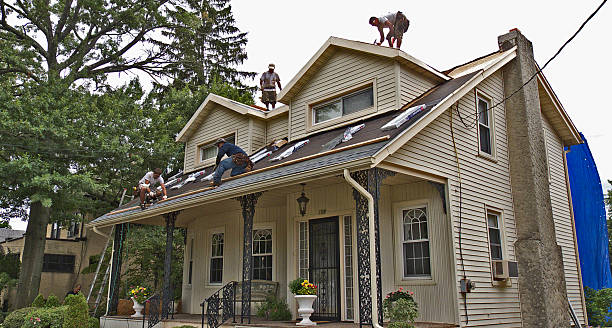 Best Emergency Roof Repair  in Novi, MI