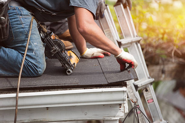 Best Metal Roofing Contractor  in Novi, MI