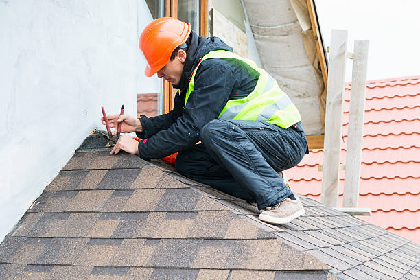 Best Roof Maintenance Services  in Novi, MI