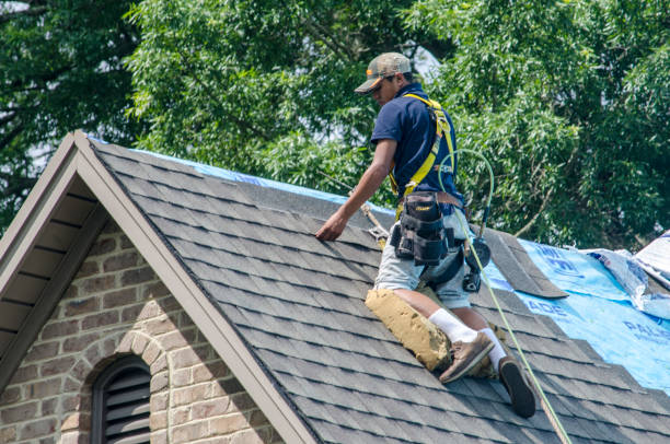 Best Best Roofing Contractors  in Novi, MI