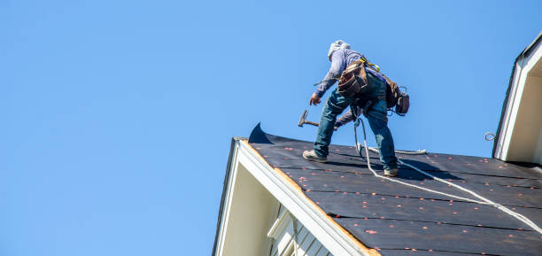 Best Slate Roofing Contractor  in Novi, MI